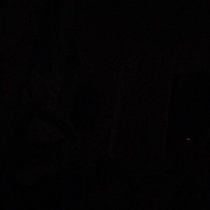 Meet your Posher, Denzel